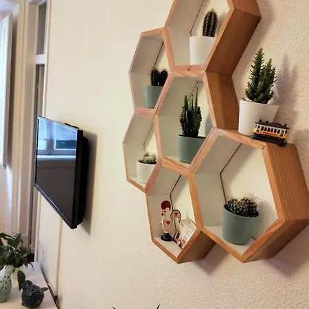 Апартаменты Bird's Nest